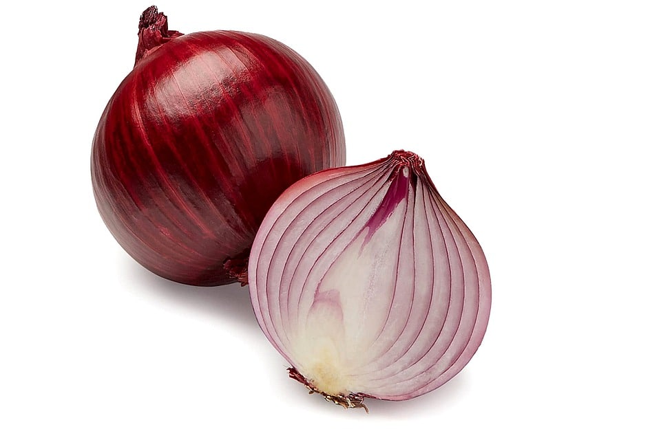 red onion suppliers exporters nashik india